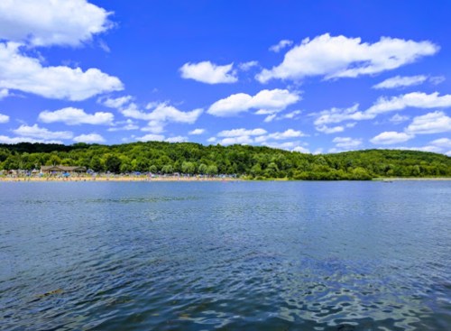 A serene lake surrounded by lush green trees and a bright blue sky with fluffy white clouds.