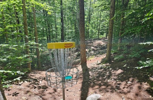 A disc golf basket surrounded by lush green trees and a wooded path in a sunny forest setting.