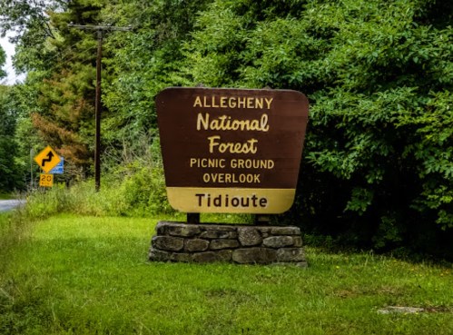 Sign for Allegheny National Forest Picnic Ground Overlook in Tidioute, surrounded by greenery.