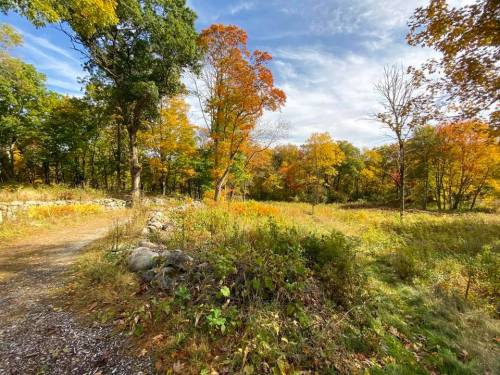 A scenic view of a colorful autumn landscape with trees and a grassy field under a partly cloudy sky.