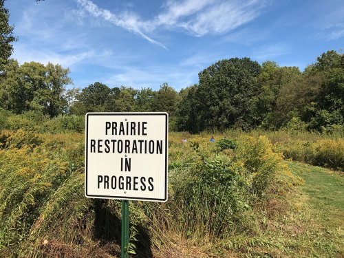 Sign reading "Prairie Restoration in Progress" in a green field with trees and blue sky in the background.