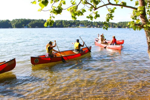 Four people in canoes paddle on a calm lake, surrounded by trees and a scenic shoreline on a sunny day.