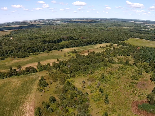 Aerial view of a lush green landscape with fields and forests under a blue sky with scattered clouds.