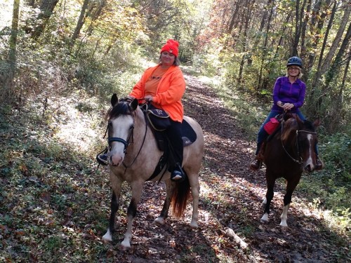 Two women riding horses on a wooded trail, surrounded by autumn foliage. One wears an orange jacket and a hat.