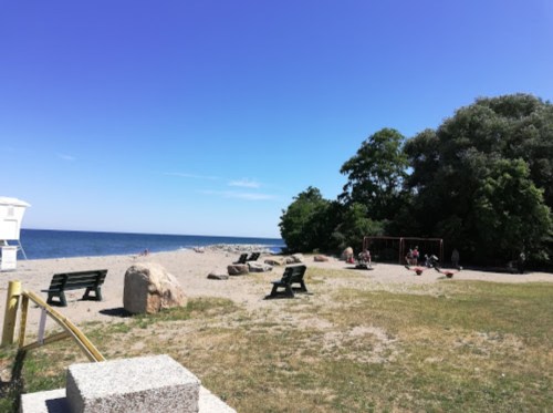 A sandy beach with a clear blue sky, benches, and trees in the background, featuring a few people enjoying the sun.
