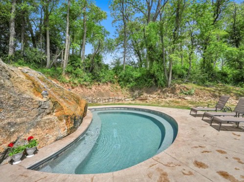 A curved pool surrounded by greenery and a rocky landscape, with lounge chairs nearby.