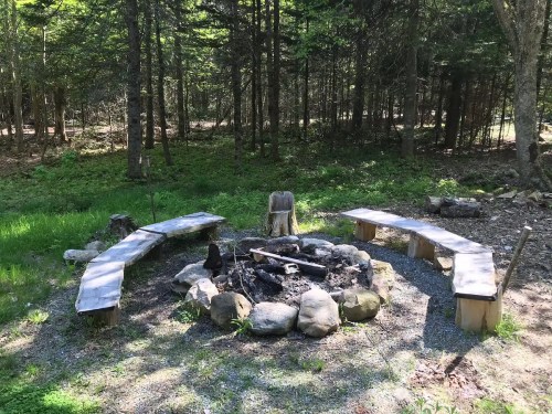 A rustic campfire setup with stone circle, wooden benches, and surrounded by trees in a green forest.