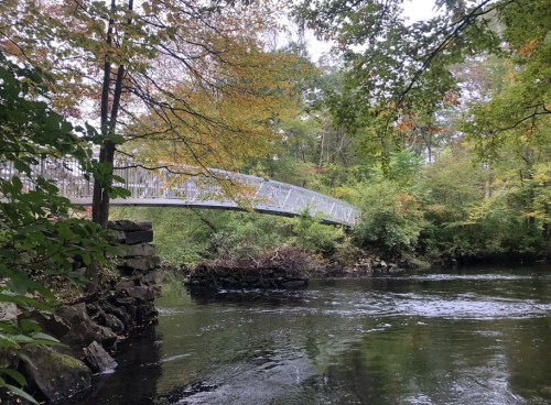 A modern bridge spans a calm river, surrounded by trees with autumn foliage.