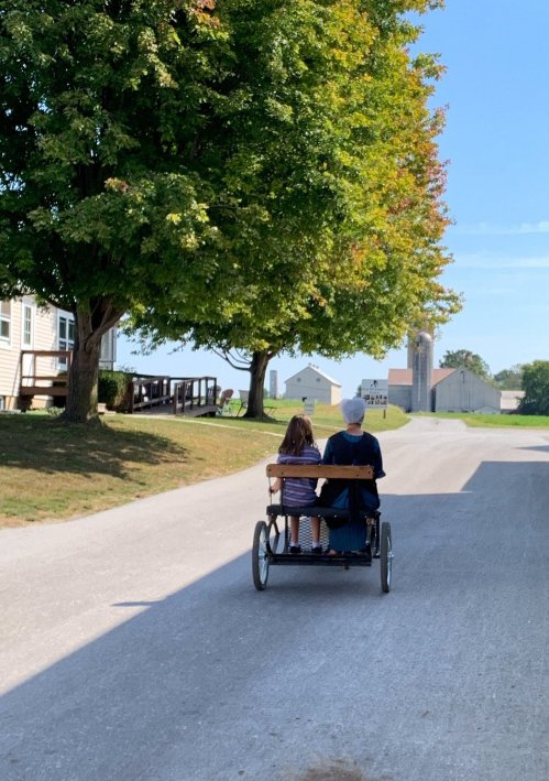 A child and an adult ride together in a horse-drawn cart down a tree-lined country road.