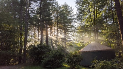 A yurt nestled among tall trees, with sunlight streaming through the branches and mist in the air.