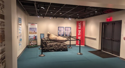 A seal statue on a rock in an exhibit area, with informational banners and a barrier in a well-lit room.