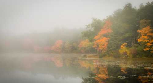 A serene lake surrounded by trees with vibrant autumn foliage, shrouded in a soft morning fog.