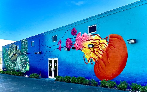 Colorful mural on a blue wall featuring a jellyfish and vibrant pink flowers, with greenery in front.