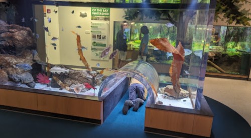 A person lies on the floor near an aquarium exhibit, observing fish through a transparent tunnel.