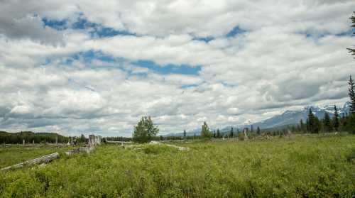 A grassy landscape with scattered logs, under a cloudy sky and distant mountains.