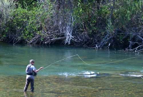 A person fishing in a clear river, surrounded by lush greenery and trees.