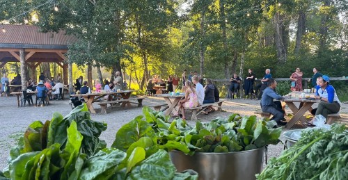 Outdoor gathering with people dining at picnic tables, surrounded by greenery and a bowl of fresh greens in the foreground.