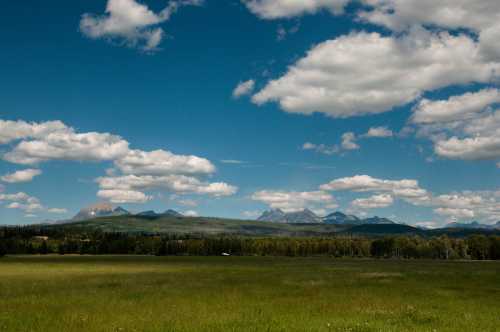 A vast green field under a bright blue sky filled with fluffy white clouds and distant mountain peaks.