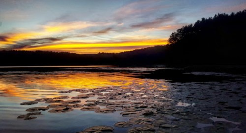A serene sunset over a lake, with vibrant colors reflecting on the water and lily pads scattered across the surface.