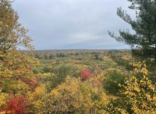 A scenic view of a colorful autumn landscape with trees in shades of yellow, orange, and red under a cloudy sky.