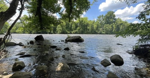A serene river scene with rocks and trees along the water's edge under a blue sky with fluffy clouds.