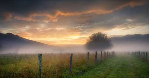 A misty landscape at sunrise, featuring a grassy path, wooden fence posts, and mountains in the background under colorful clouds.