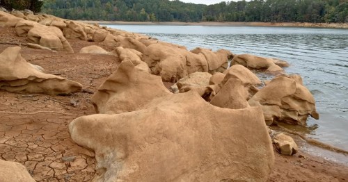 Rocky shoreline with smooth, weathered stones beside a calm lake, surrounded by trees in the background.