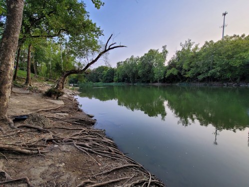 A serene riverbank scene with lush green trees, calm water, and exposed tree roots along the shore.