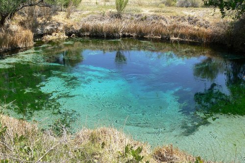 A serene natural spring with clear turquoise water surrounded by grass and trees.