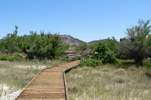 A wooden boardwalk winding through a grassy landscape with shrubs and distant hills under a clear blue sky.