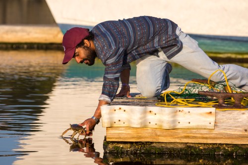 A man in a striped shirt and cap reaches over a dock to catch a crab in the water.