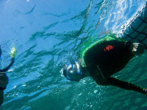 A person snorkeling underwater, wearing a mask and snorkel, surrounded by clear blue water.