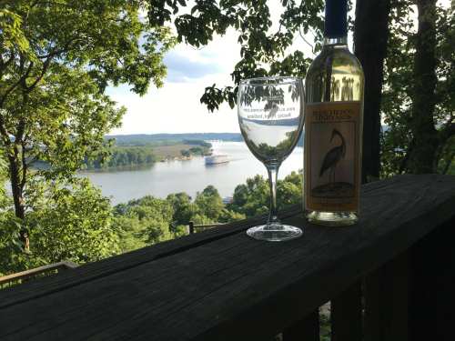 A bottle of white wine and a glass sit on a wooden railing, overlooking a scenic river and lush greenery.