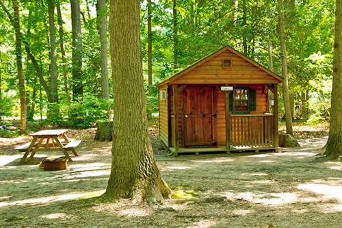 A small wooden cabin in a forested area, with a picnic table and fire pit nearby. Sunlight filters through the trees.