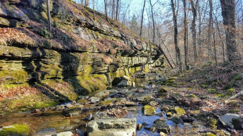 A serene forest scene with a rocky creek, moss-covered stones, and trees in a sunlit, wooded area.