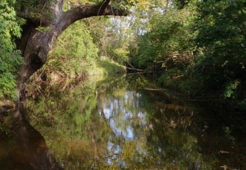 A serene river bends through lush greenery, with trees reflecting in the calm water.