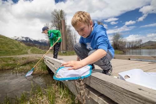 Two children explore a pond, one using a net to catch something while the other stands nearby, with mountains in the background.