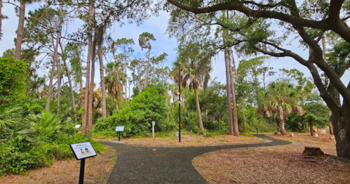 A winding path through a lush, green forest with tall trees and informational signs along the way.