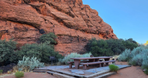 A picnic table surrounded by greenery and red rock formations under a clear blue sky.