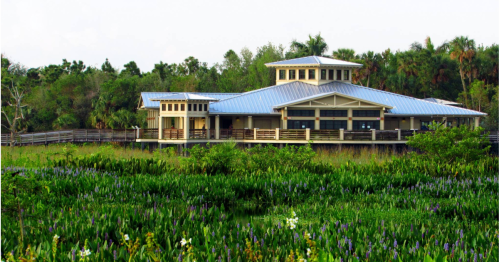 A modern building with a metal roof surrounded by lush greenery and purple flowers in a natural setting.