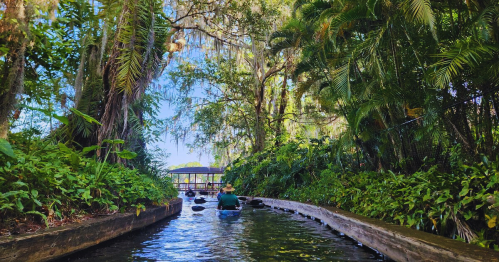 A person paddles a canoe through a lush, green waterway surrounded by trees and hanging moss.