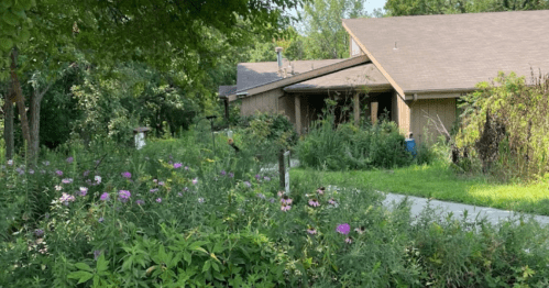 A cozy house surrounded by lush greenery and colorful flowers in a serene garden setting.