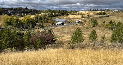 A scenic view of rolling hills with golden grass, scattered trees, and a few buildings under a cloudy sky.