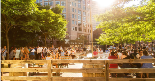 A lively outdoor gathering at Trillium Brewing, with people enjoying drinks and sunshine among trees and buildings.