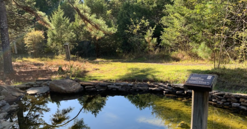 A serene pond surrounded by trees, with a signpost nearby, reflecting the greenery in calm water.