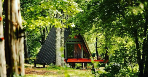 A modern A-frame cabin nestled among lush green trees in a serene forest setting.