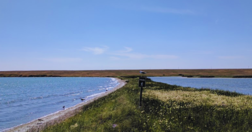 A serene landscape featuring a split waterway, grassy banks, and a clear blue sky.