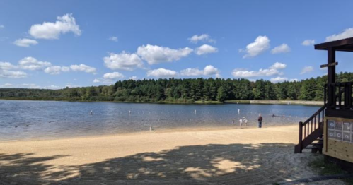 A sandy beach by a calm lake, with trees in the background and people enjoying the water under a blue sky.