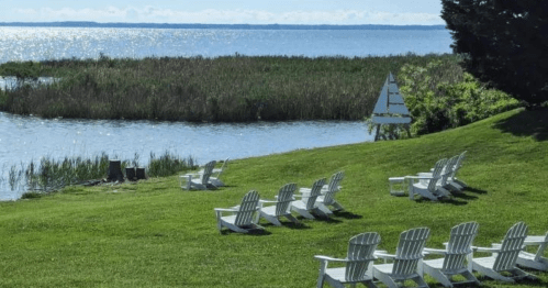 A serene lakeside view with white Adirondack chairs on green grass, overlooking calm water and tall reeds.