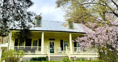 A charming yellow house with a metal roof, surrounded by blooming trees and greenery on a sunny day.